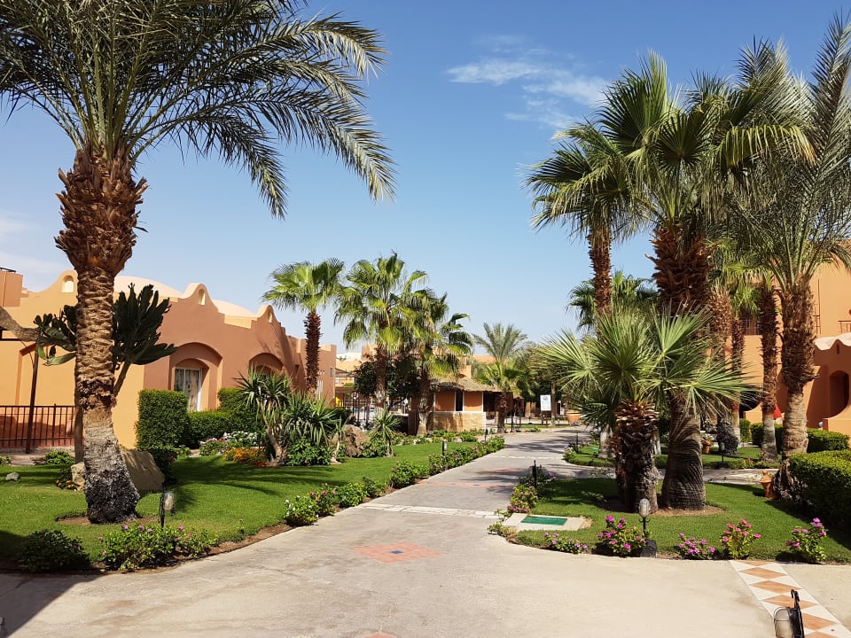 Gartenanlage Jaz Makadi Oasis Resort