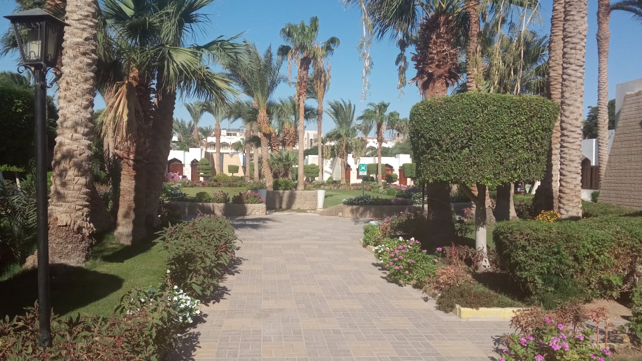 Gartenanlage Regina Resort and Aqua Park Hurghada