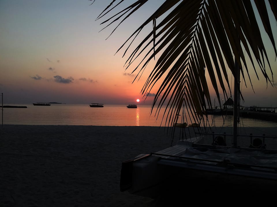 Sonnenaufgang am Steg Summer Island Maldives