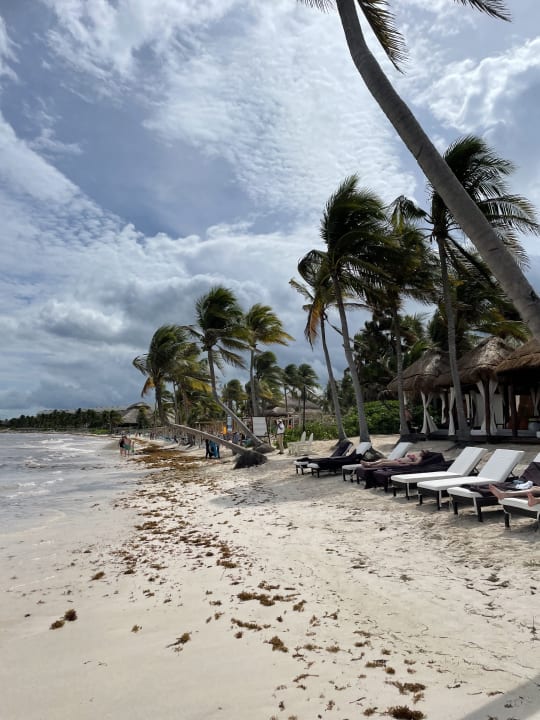Strand Akumal Bay Beach & Wellness Resort