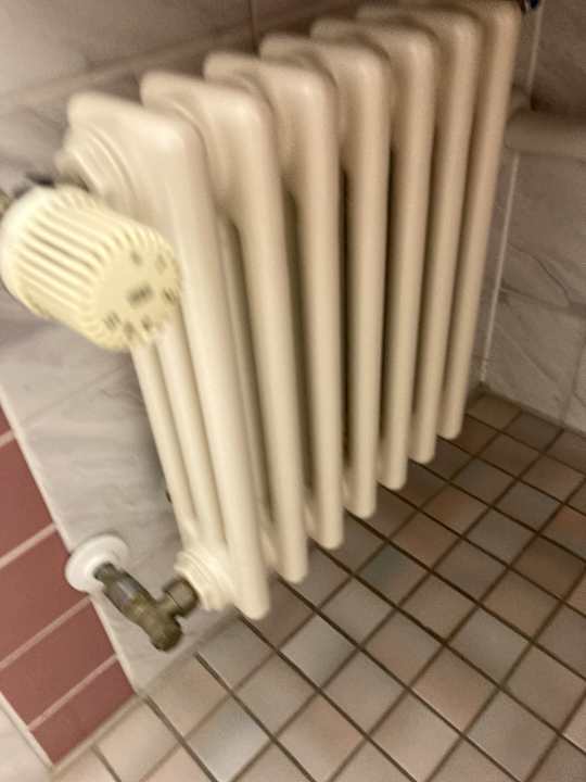 Zimmer Best Western Parkhotel Brehna - Halle