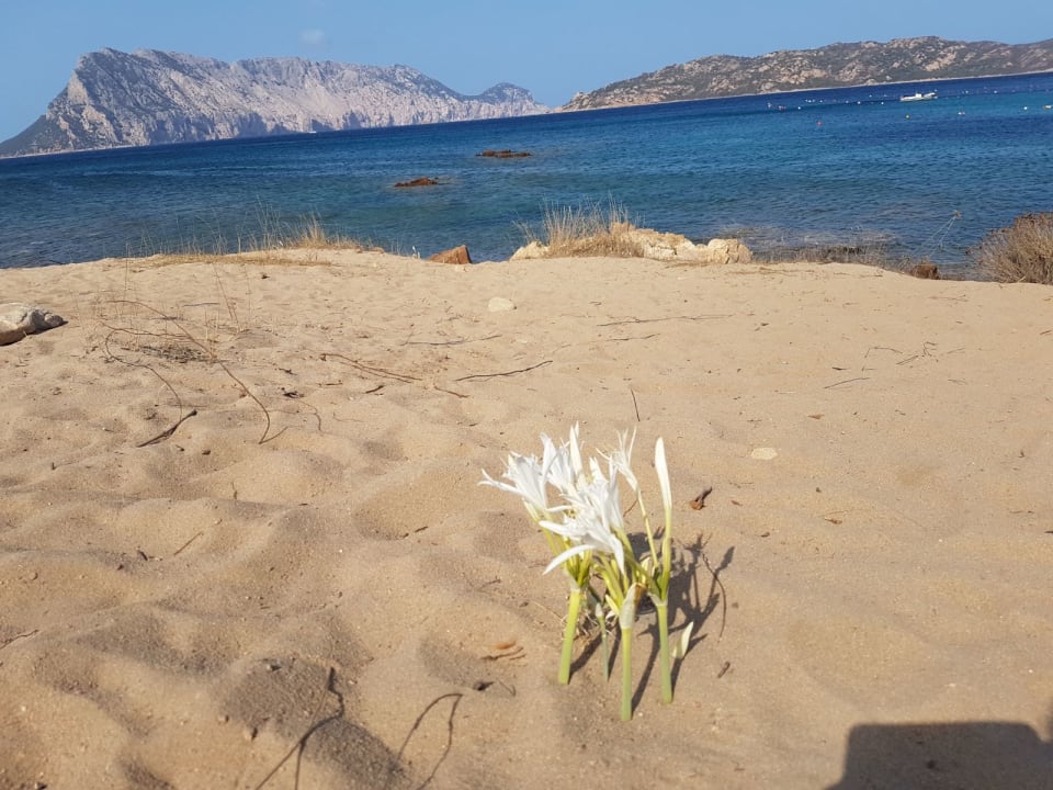 Strand Grande Baia Resort & Spa