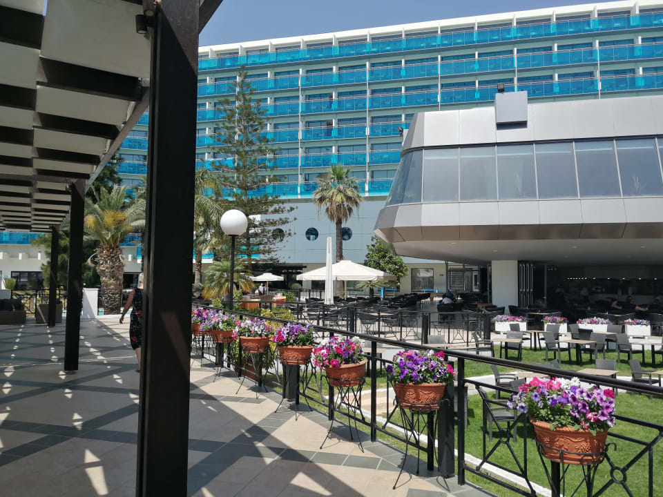 Außenansicht Hotel Calypso Beach