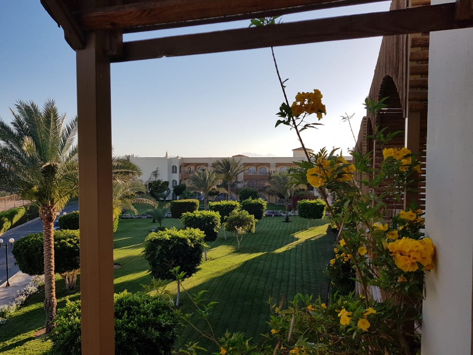 Gartenanlage Desert Rose