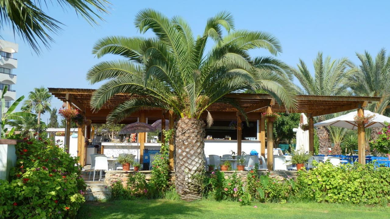 Garten Crystal Springs Beach Hotel