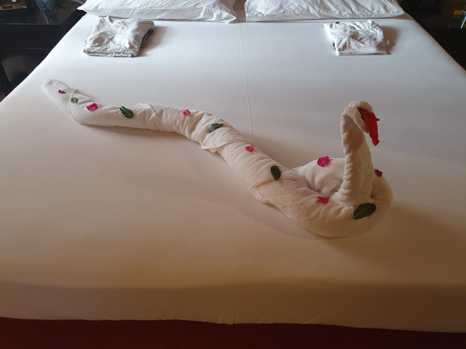 Zimmer Jaz Makadi Oasis Resort