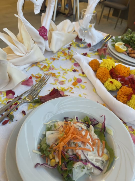 Gastro Hotel Delphin Diva