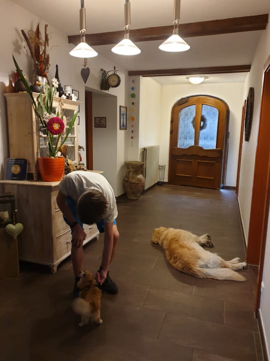 Sonstiges Gästehaus Zwischenberger