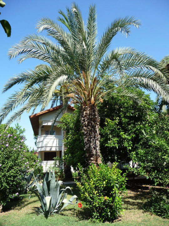 Sirma / Appartemens Hotel Sirma