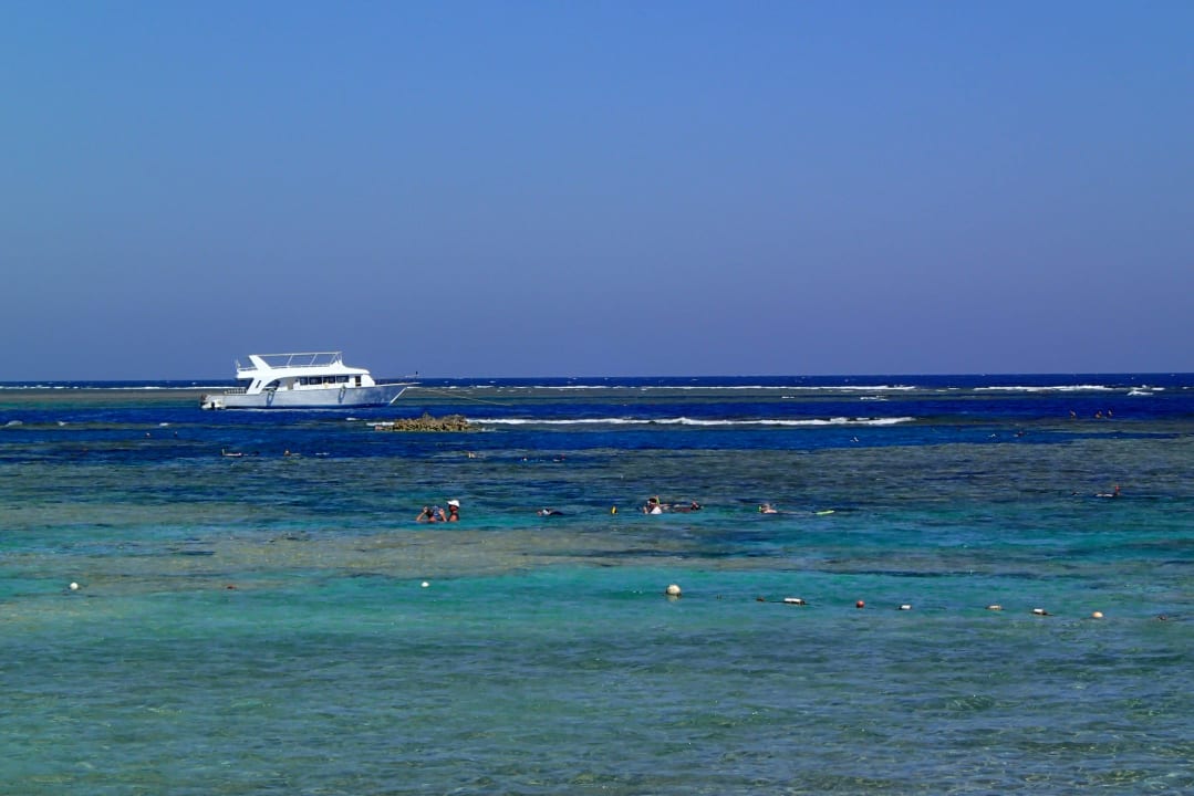 Widok na rafę Pensée Royal Garden Beach Resort