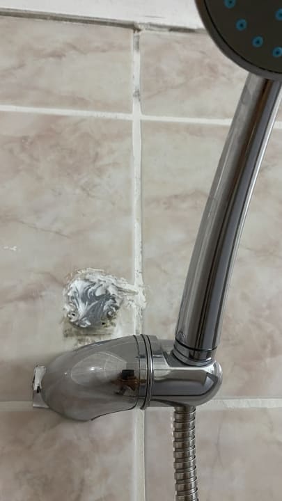 Zimmer Side Miami Beach