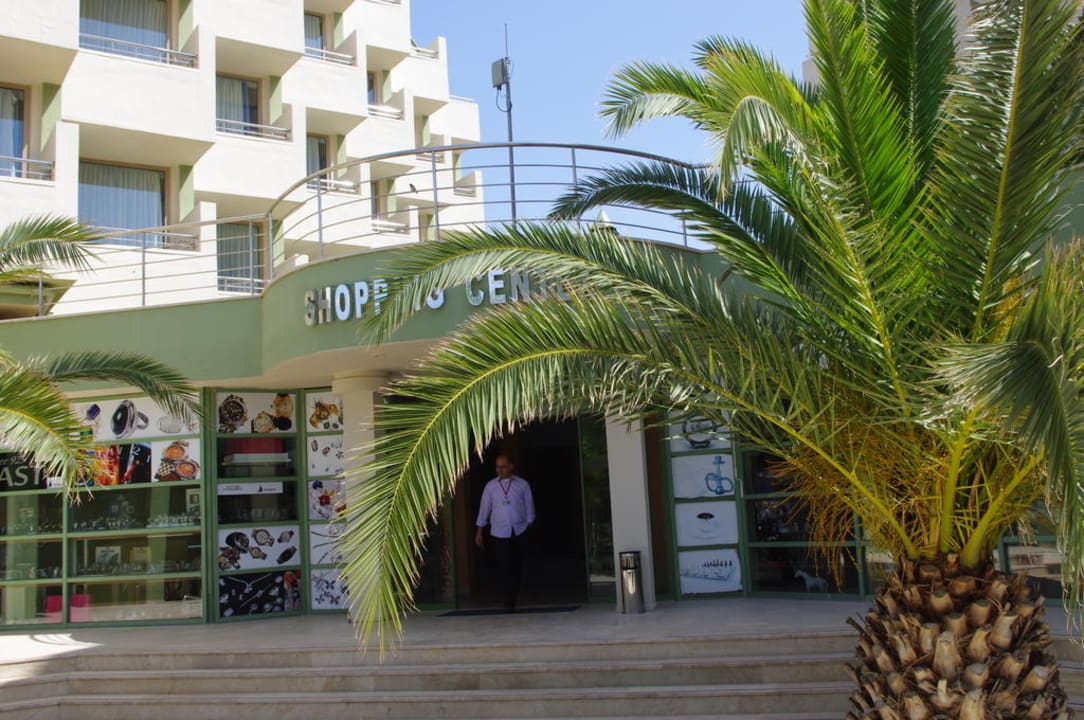 Palma na tle hotelu VONRESORT Golden Coast