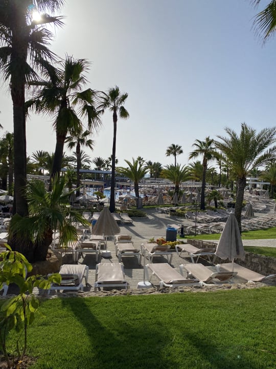 Gartenanlage Hotel Riu Chiclana