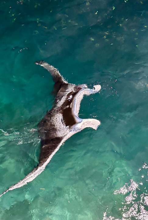 Strand Sun Siyam Olhuveli