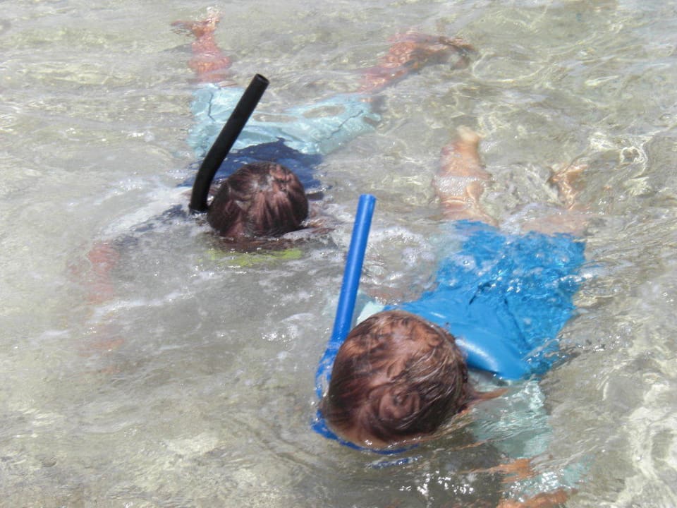 Schnorcheln ungefährlich Utopia Beach Club