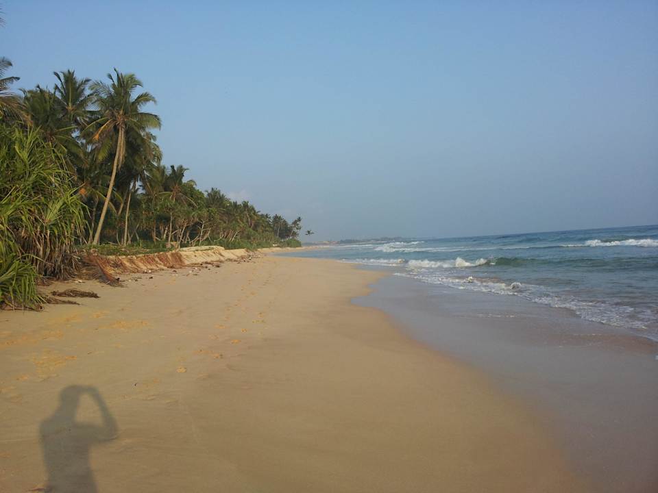 Vor dem Hotel Blick nach links Hotel Haus am Meer Wilde Ananas