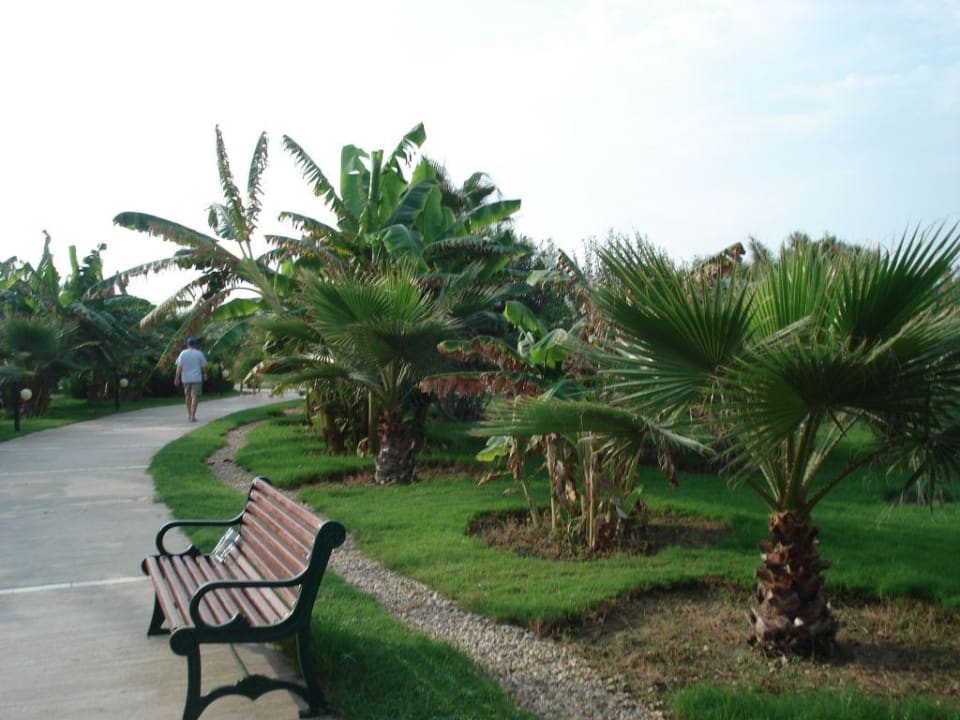 Gartenanlage / Weg zum Strand VONRESORT Golden Coast