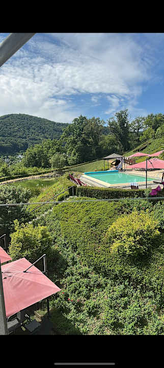 Ausblick Moselstern Parkhotel Krähennest