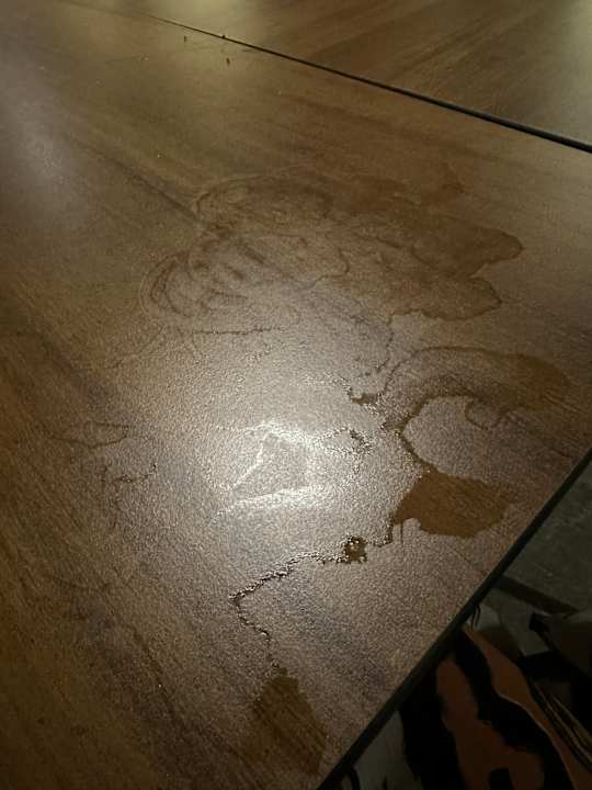 Lobby Hotel Riu Turquoise