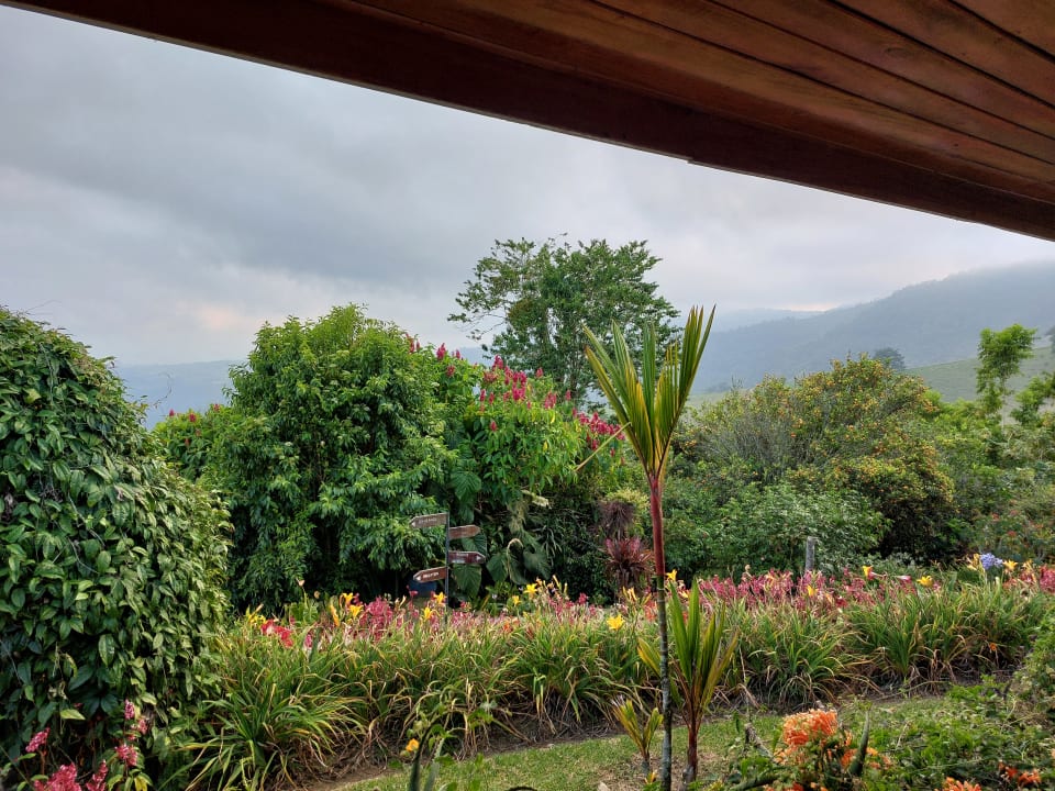 Ausblick Hotel Guayabo Lodge