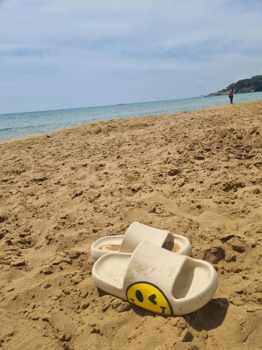 Strand AQI Pegasos Royal