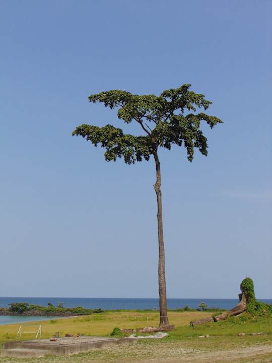 Gartenanlage Sofitel Malabo Sipopo Le Golf