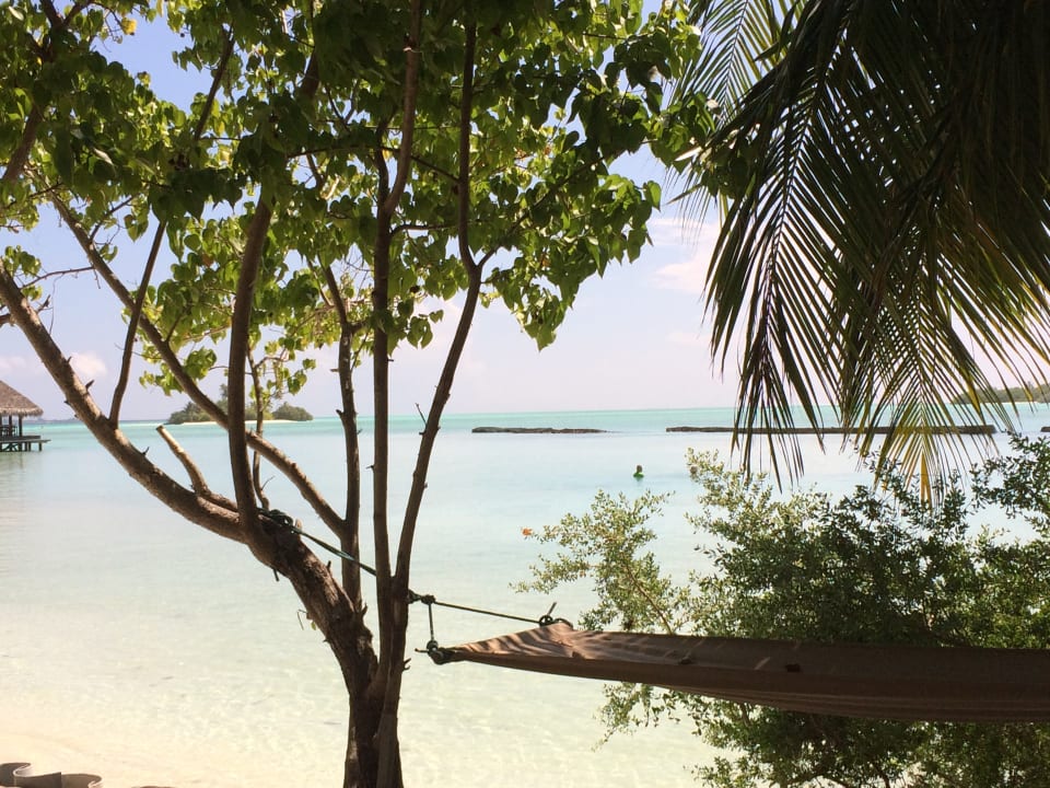 Ausblick Rihiveli Maldives Resort