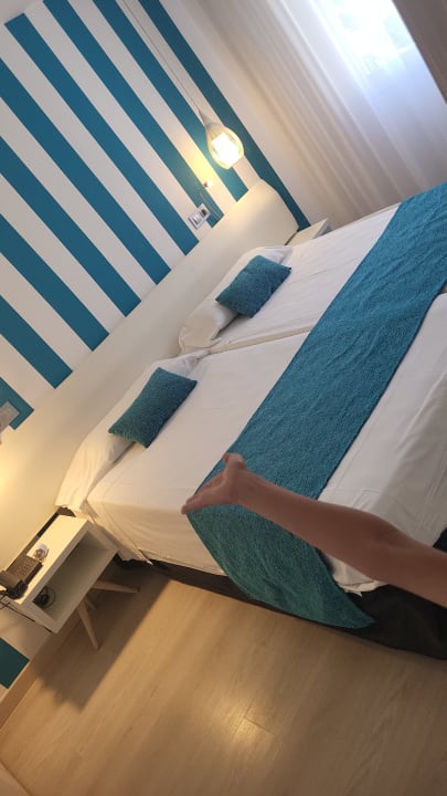 Zimmer Alcudia Garden Aparthotel