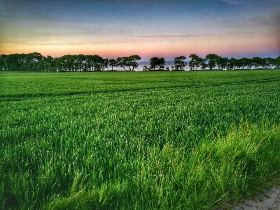 Ausblick Ferienbauernhof Liesenberg mit Meerblick