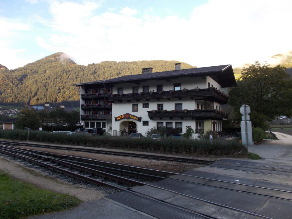 Blick auf das Hotel  Hotel Alpenblick