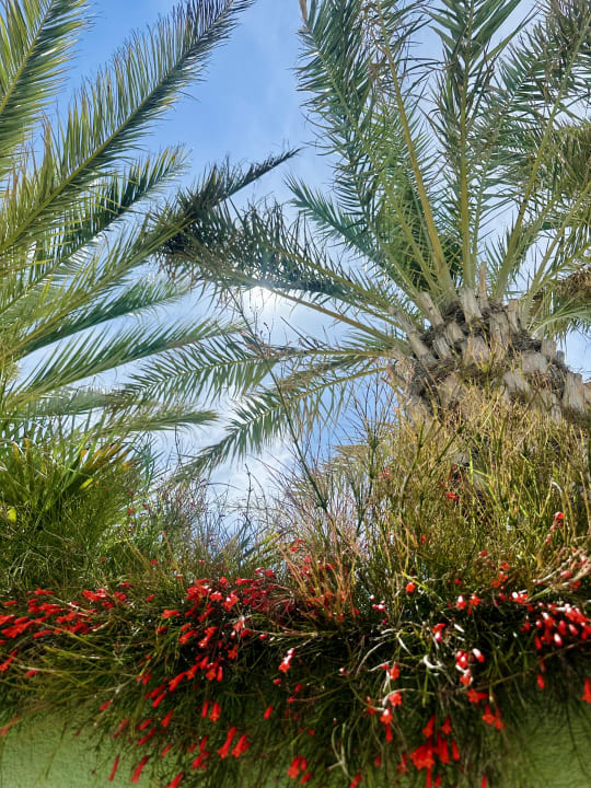 Gartenanlage Kirman Belazur Resort & Spa