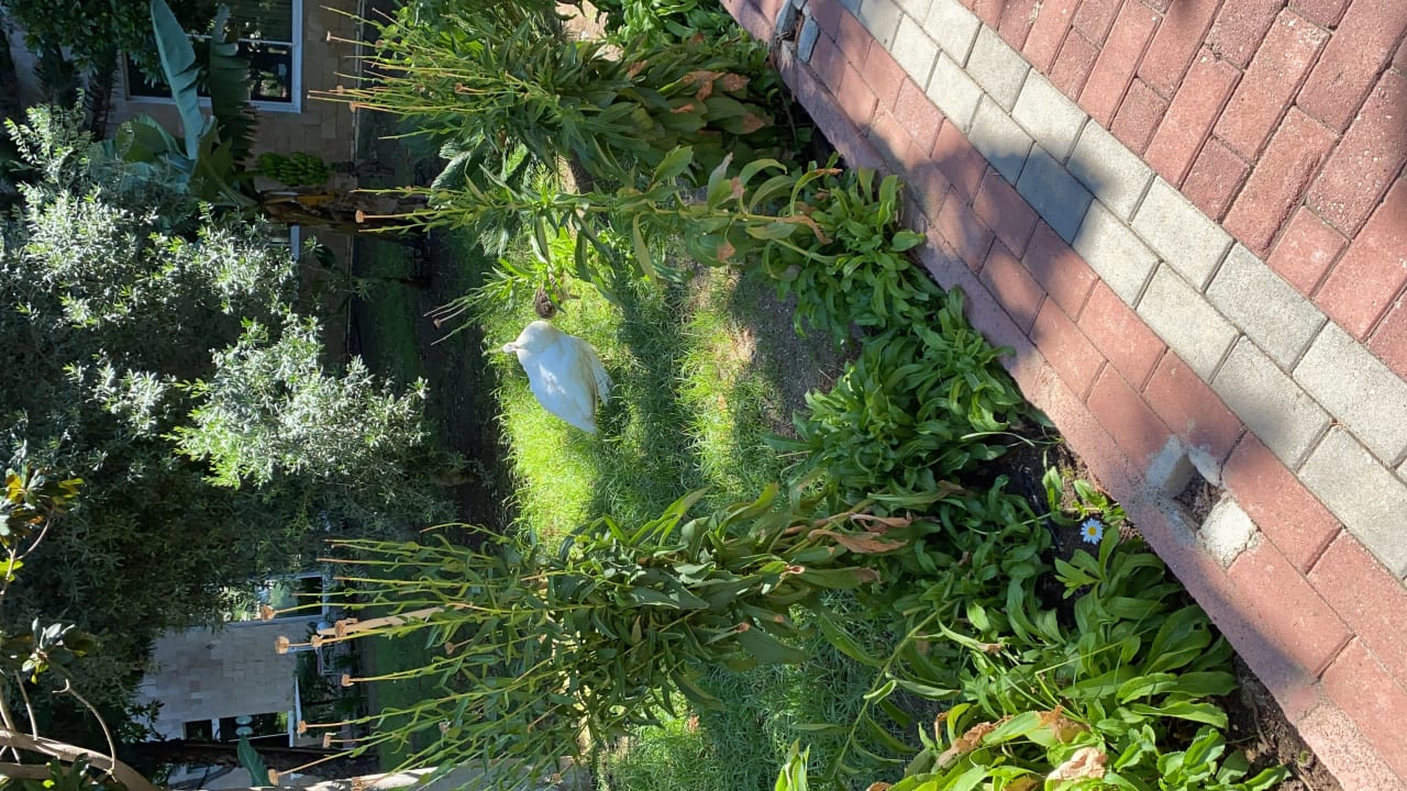 Gartenanlage Seaden Sea World Resort & Spa