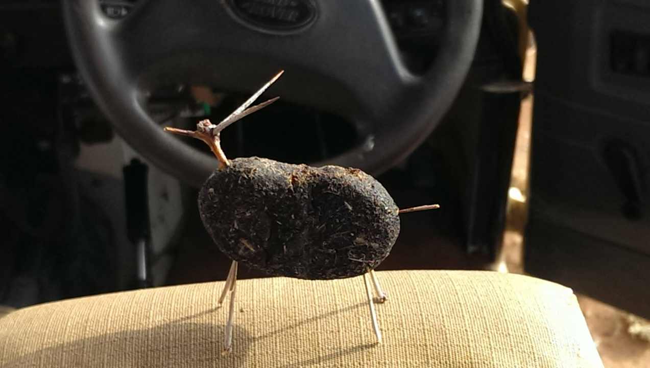 Oryx aus Zebrakake Wolwedans Dunes Lodge