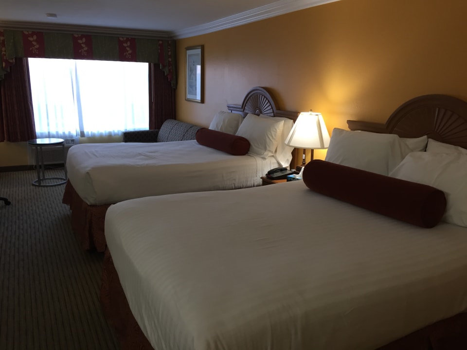 Zimmer Best Western - Harbour Inn & Suites