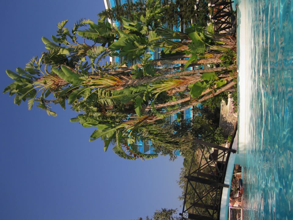 Insel im Pool Hotel Calypso Beach