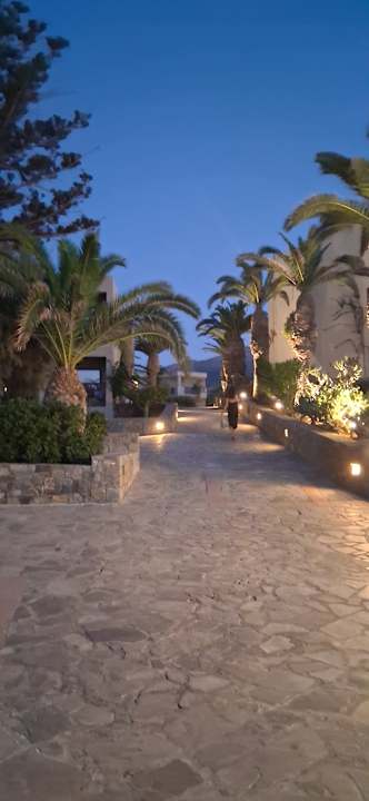 Gartenanlage allsun Hotel Malia Beach