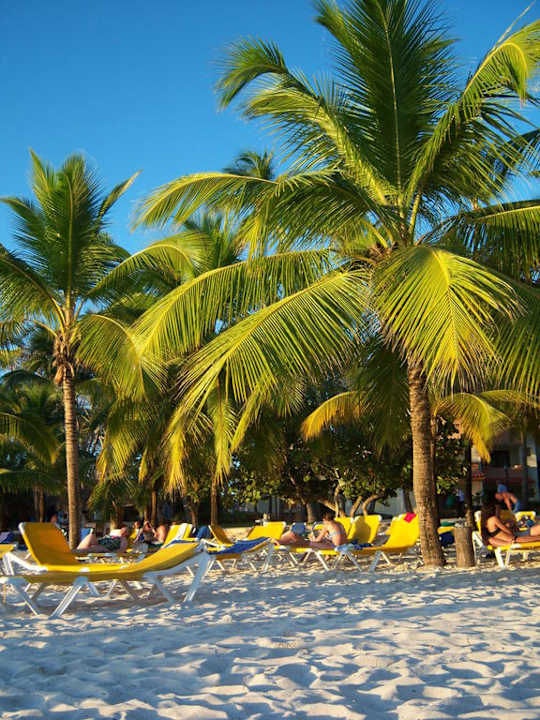 Strand Hotel Viva Dominicus Palace by Wyndham-All Inclusive Resort