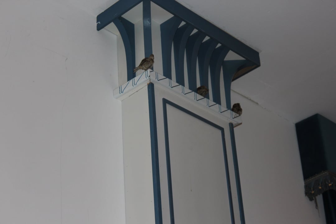 Vogelkot Stella Garden Resort & Spa, Makadi Bay