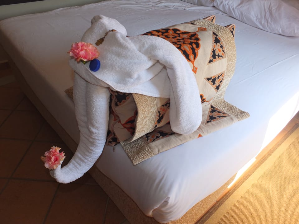 Zimmer Steigenberger Coraya Beach - Adults only