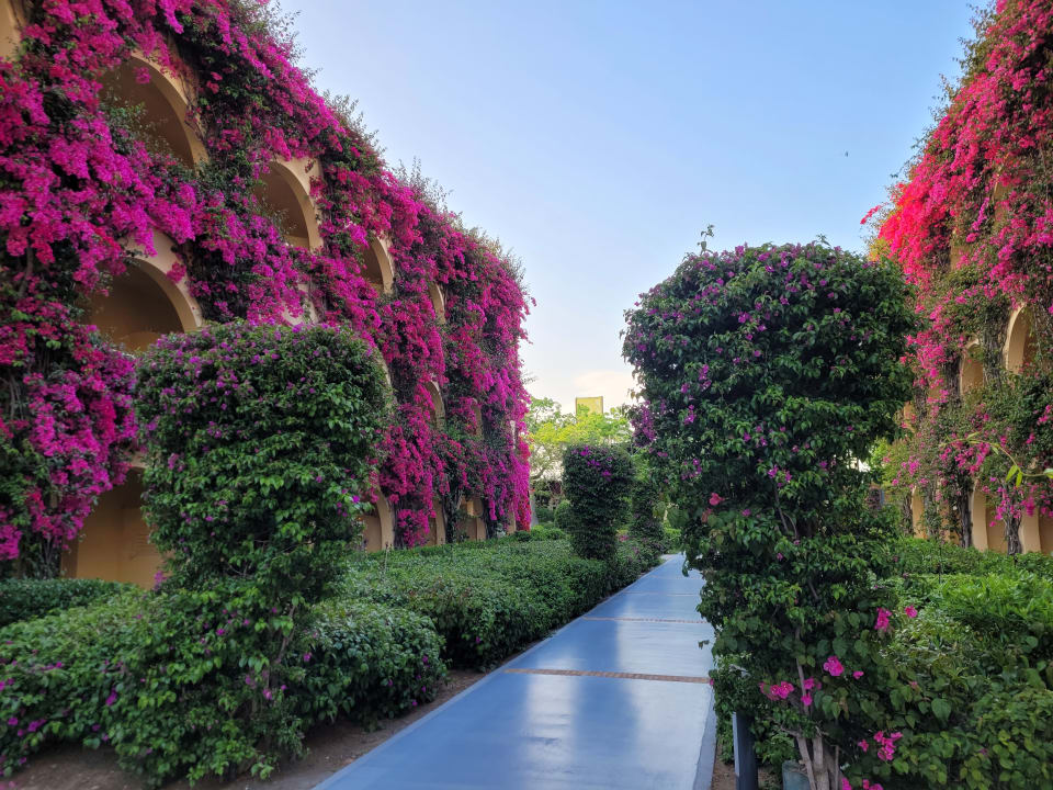 Gartenanlage TUI MAGIC LIFE Calabria