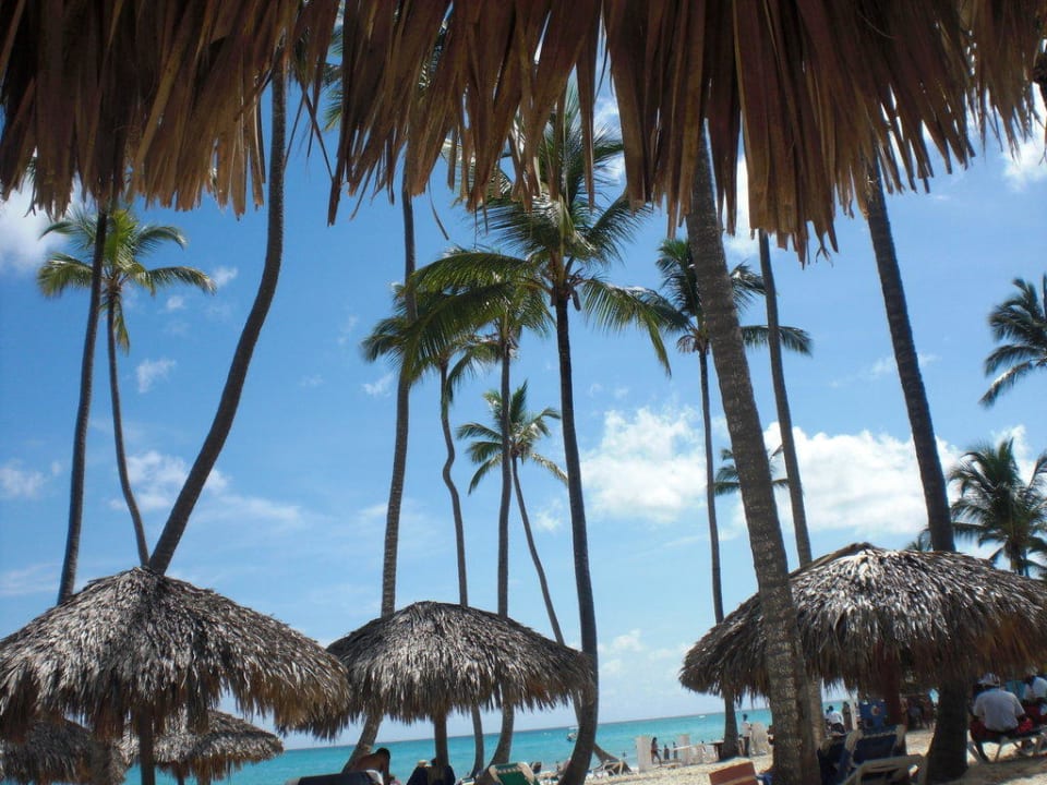 Toller Palmenstrand Grand Palladium Select Bávaro Resort & Spa