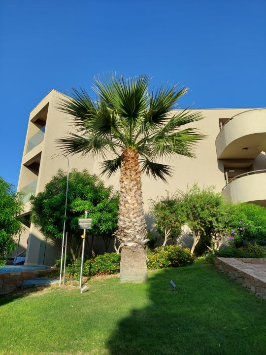 Gartenanlage Atlantica Aegean Blue