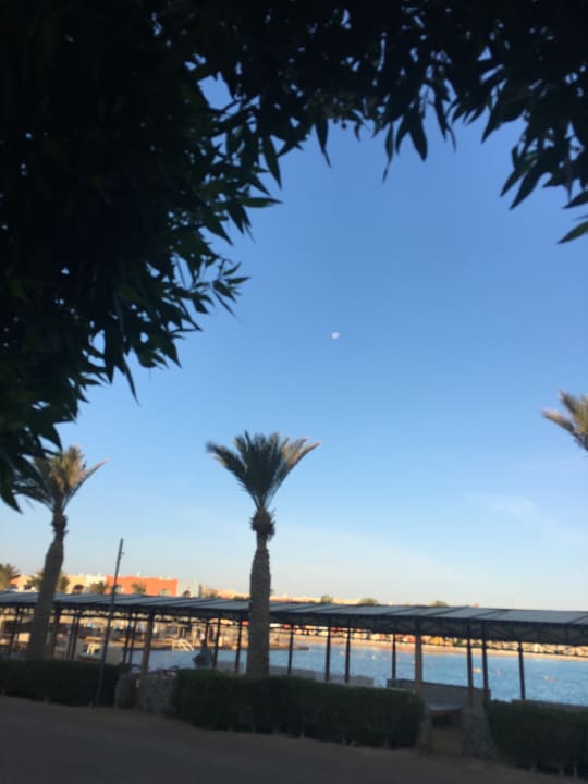 Ausblick Arabella Azur Resort