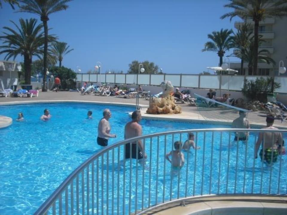 Animation wasservolley Hotel Palia Sa Coma Playa