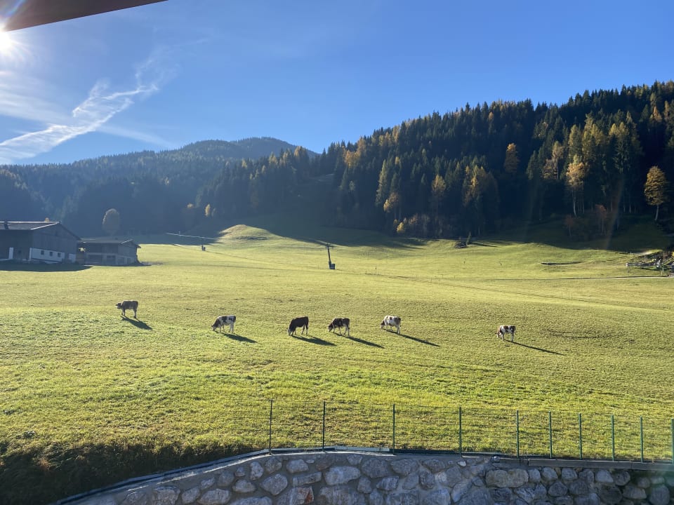 Ausblick Hotel Riederalm