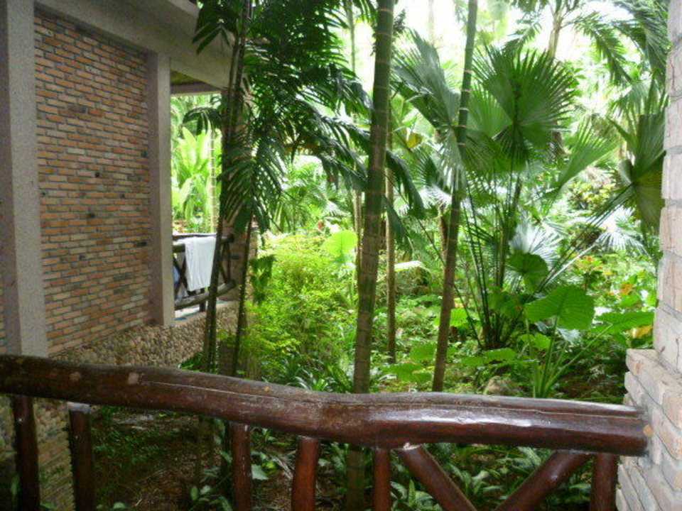 ...in die Vegetation Hotel Somkiet Buri
