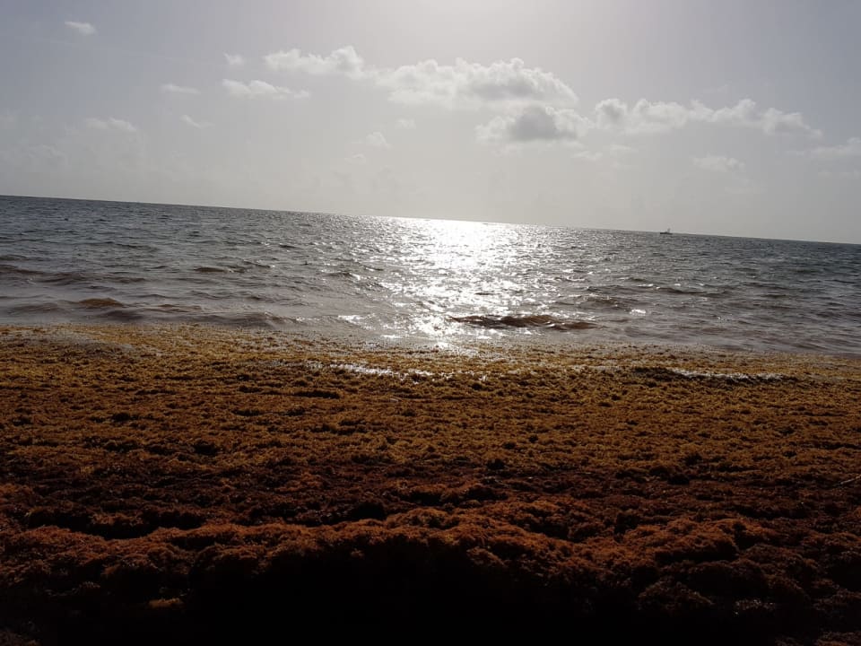 Strand Secrets Royal Beach Punta Cana - Adults only