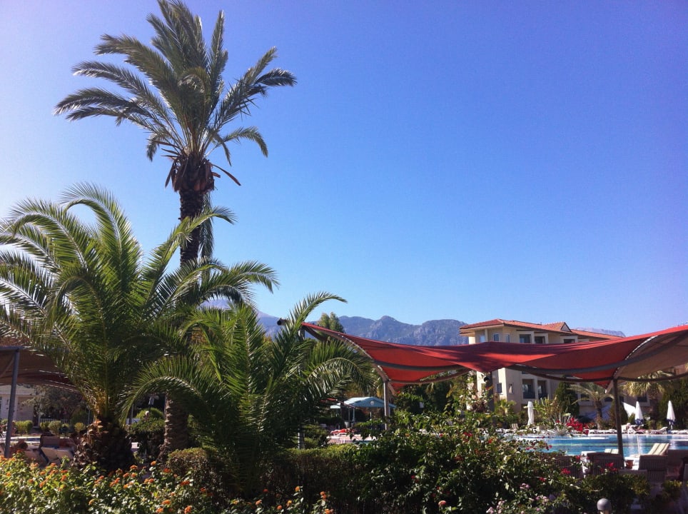 Göttlich blauer Himmel!  Le Jardin Resort