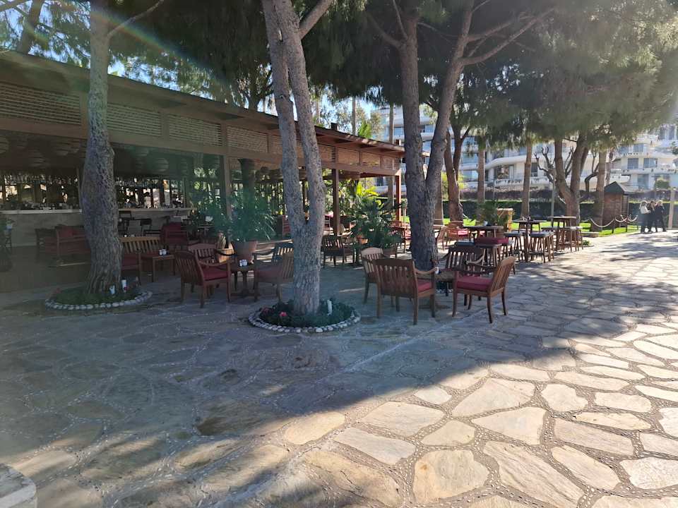 Gastro Arum Barut Collection