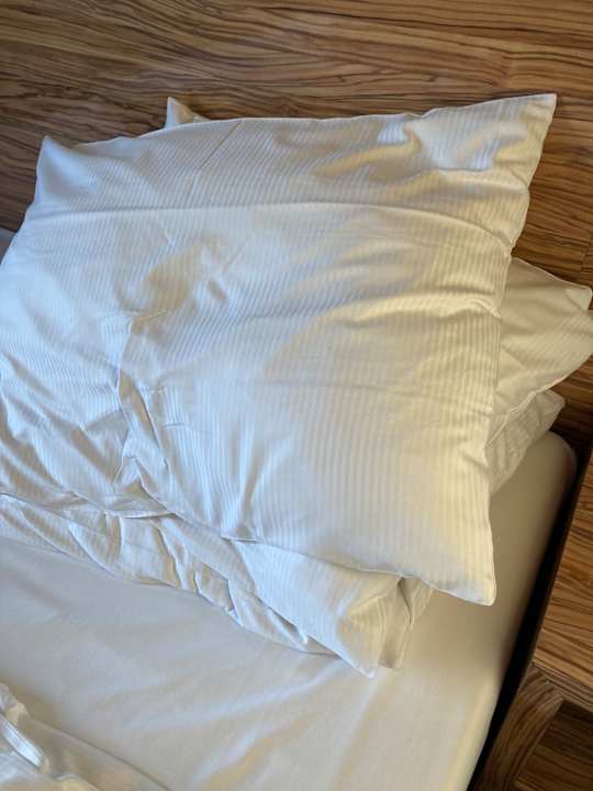 Zimmer Best Western Raphael Hotel Altona